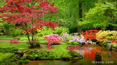 花园黑格荷兰日本